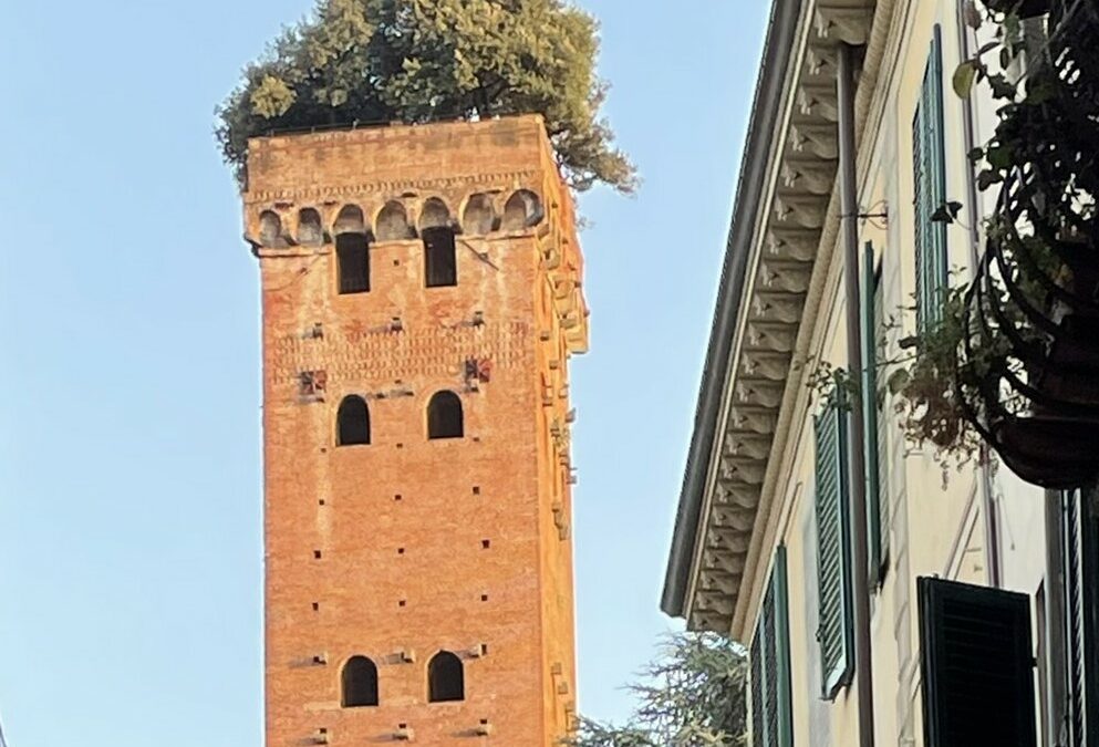 Highlights from the 1st Interregional Thematic Workshop in Lucca