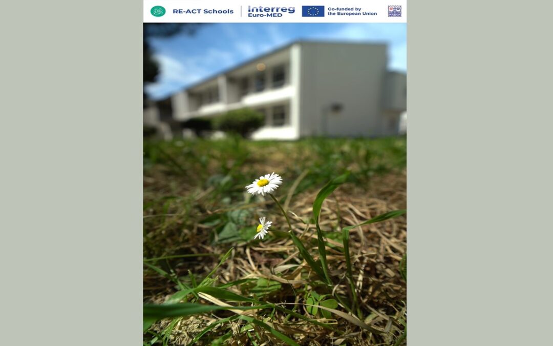 🎥 From Concrete to Nature: The RE-ACT Schools Vision in Split